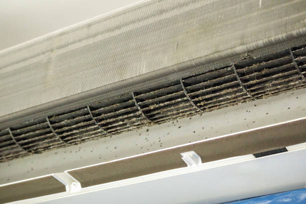 Best Ductwork Cleaning Services  in Boonville, IN
